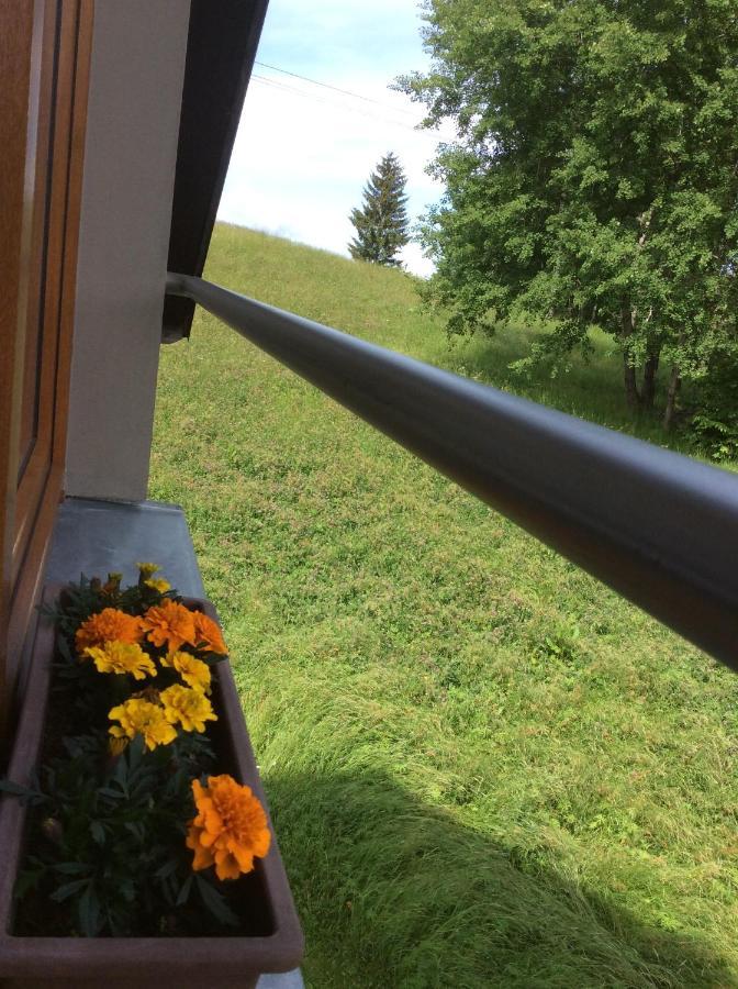 Apartman Odolov Jestrebi Hory Male Svatonovice Exterior photo
